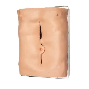 Lifelike Biotissue AAA Simulator