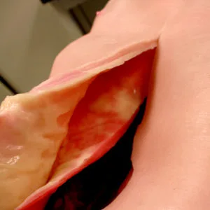 AAA Torso Simulator Layers