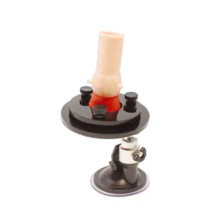 Aortic Valve Model - Image 4