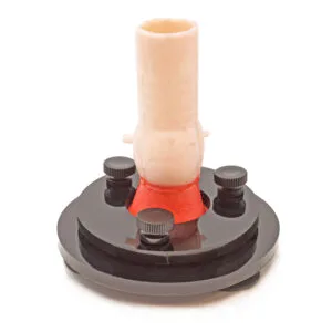 Aortic Valve Base