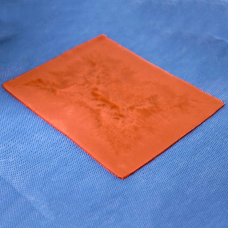 Bladder Tissue Sheet LifeLike BioTissue