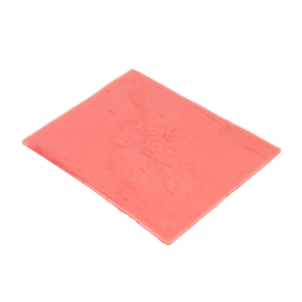 Bladder Tissue Sheet – LifeLike BioTissue