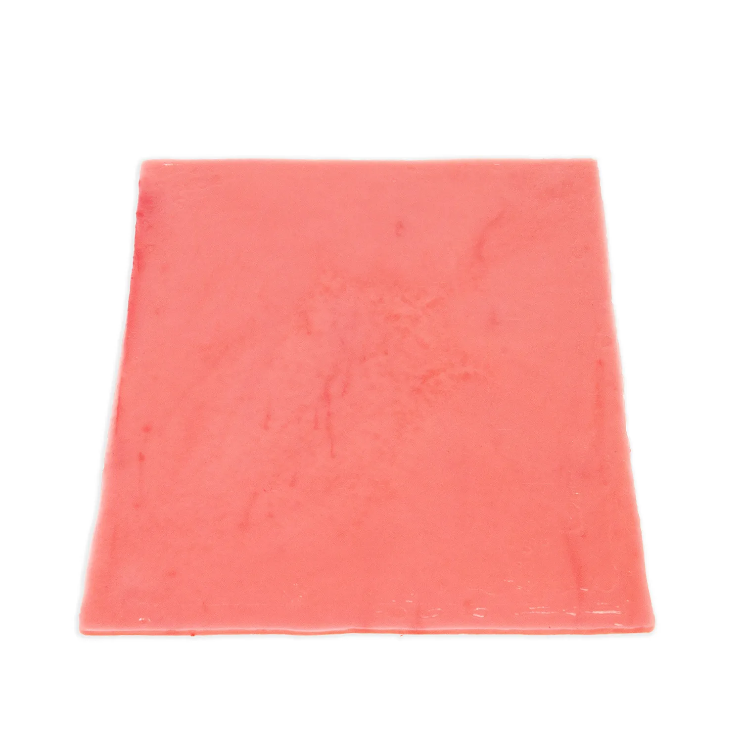 Bladder Tissue Sheet