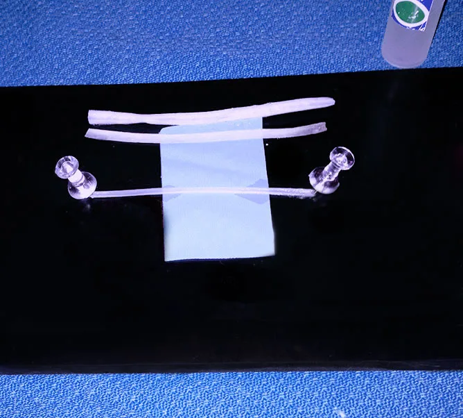 Tissue Mounting Pad