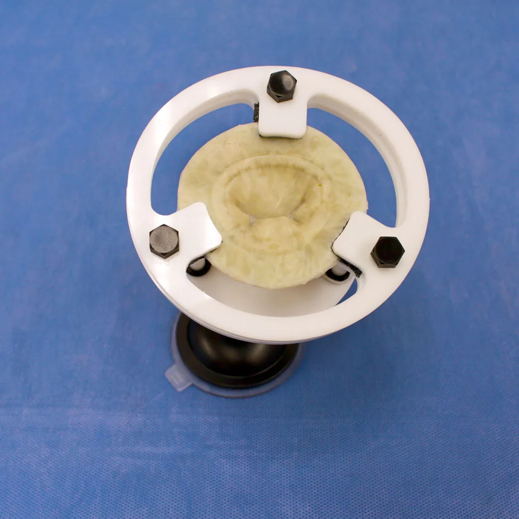 Mitral Valve Base for Surgical Simulation