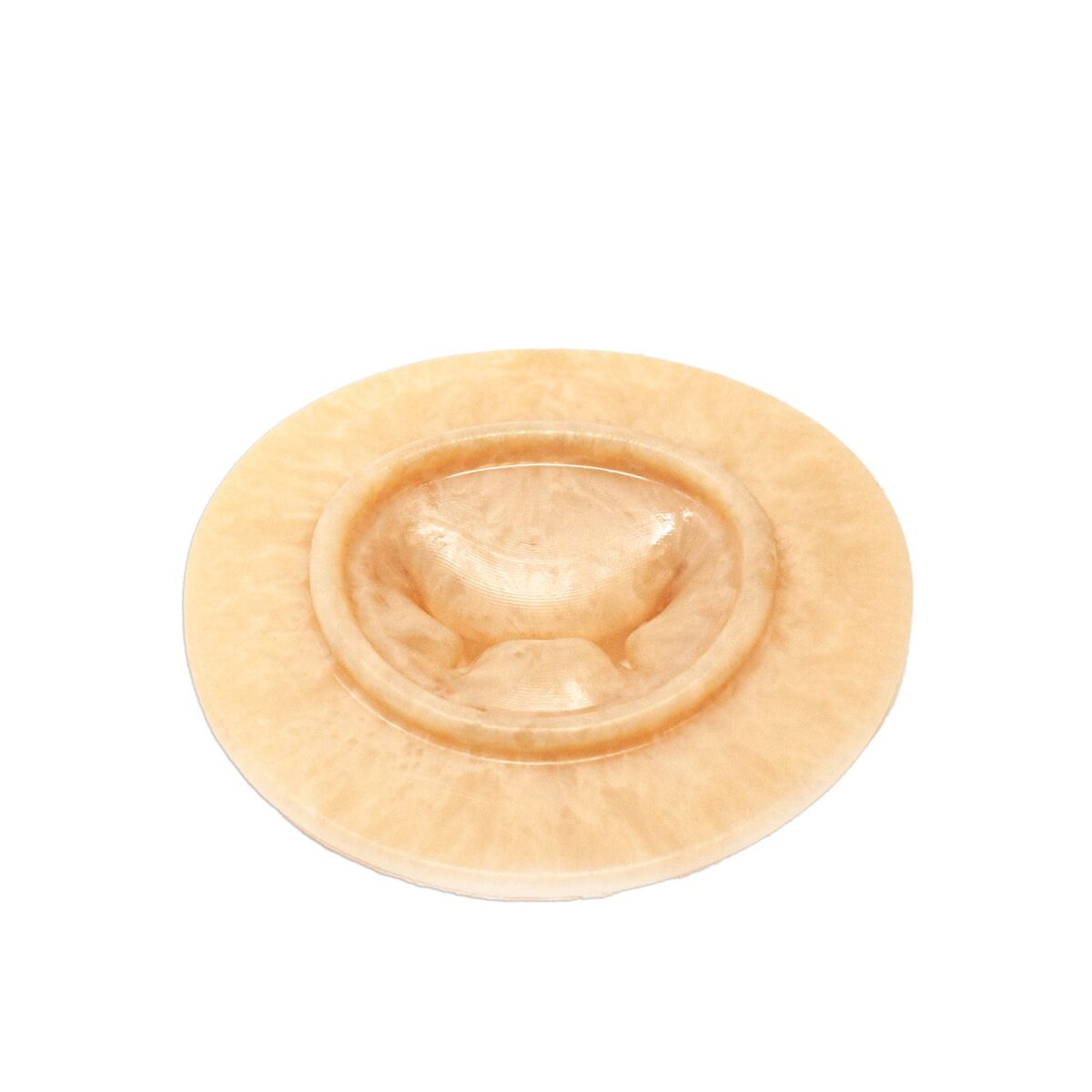 Mitral Valve Model