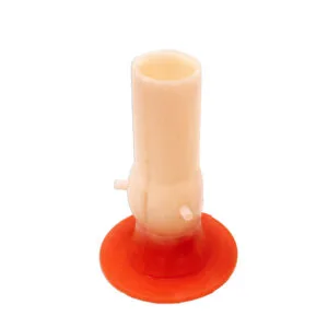 Lifelike Biotissue Aortic Valve