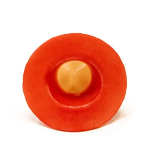 Lifelike Biotissue Aortic Valve
