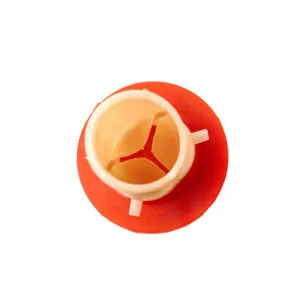 Aortic Valve Model - Image 3