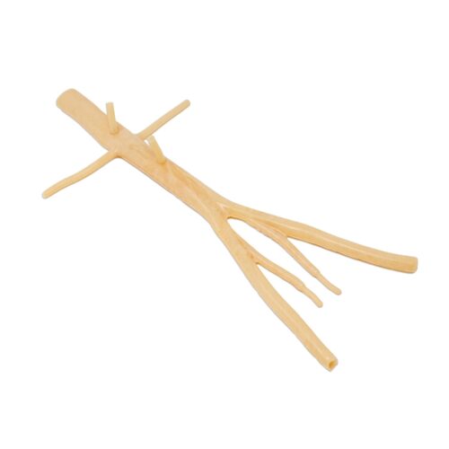 Vena Cava