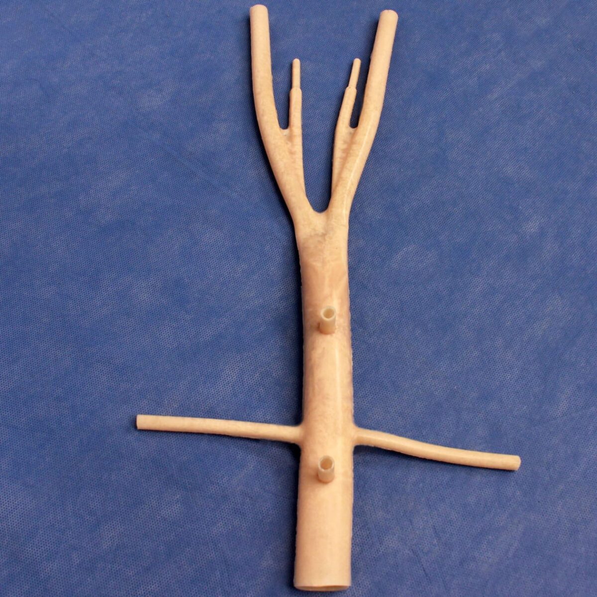 Vena Cava Simulated Tissue straight view