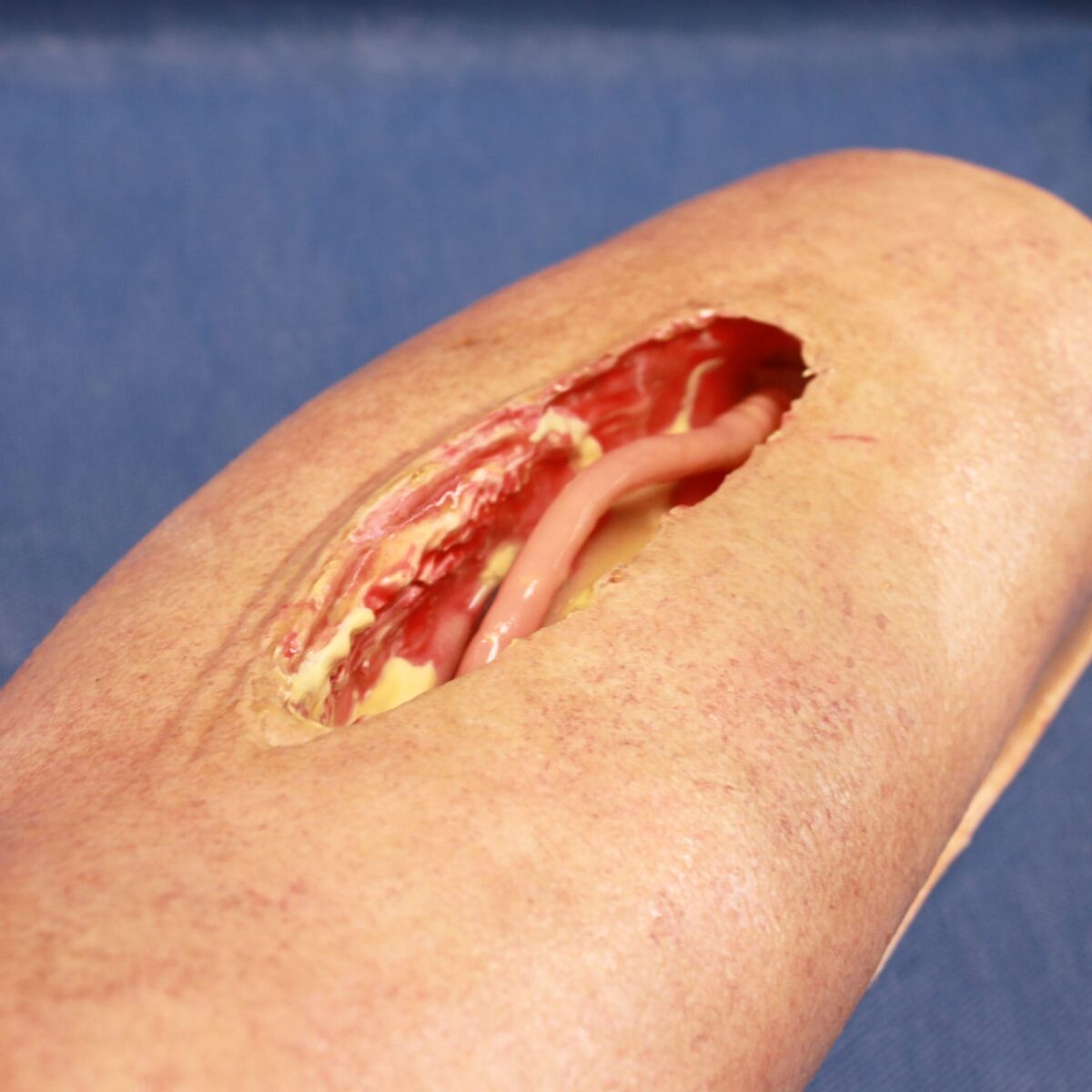 Femoral Leg Simulator Cutout