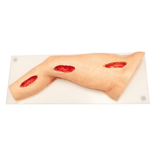 Lifelike Long Femoral Leg Simulator