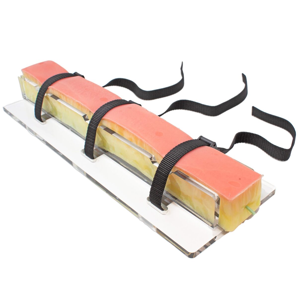 GSV model with base and straps