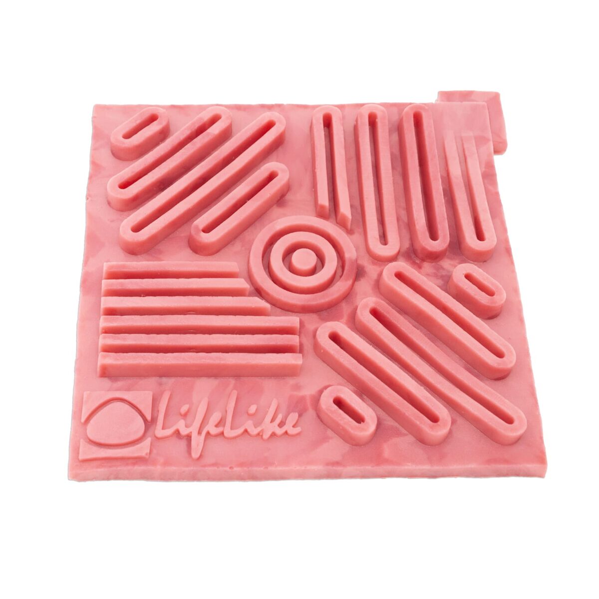 Lifelike Biotissue Directional Suture Pad