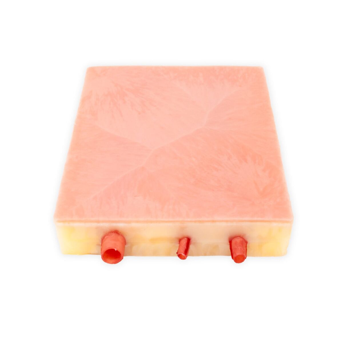 Embedded Carotid Arteries with Plaque and Dermis Model - Image 2