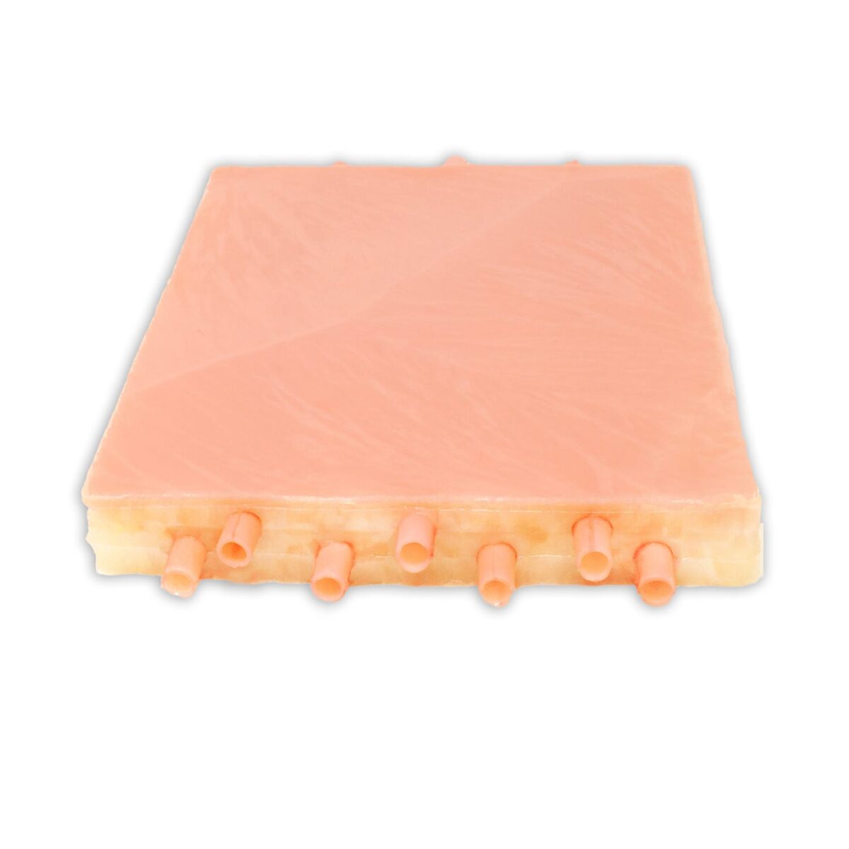 Lifelike Biotissue Embedded Femoral Arteries