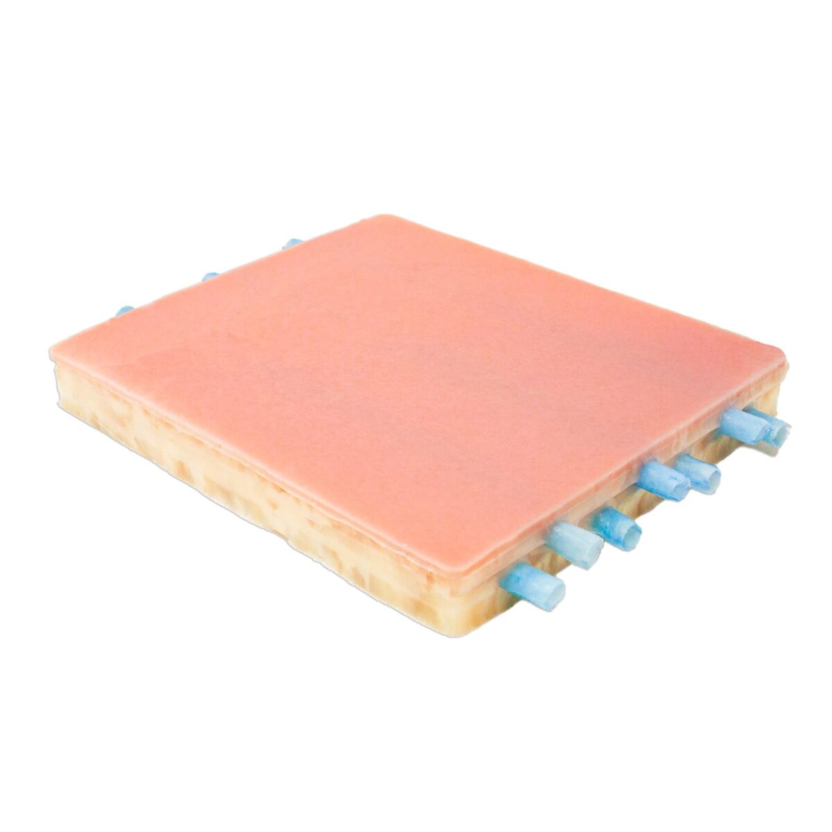Embedded Veins with Dermis Model - Image 2
