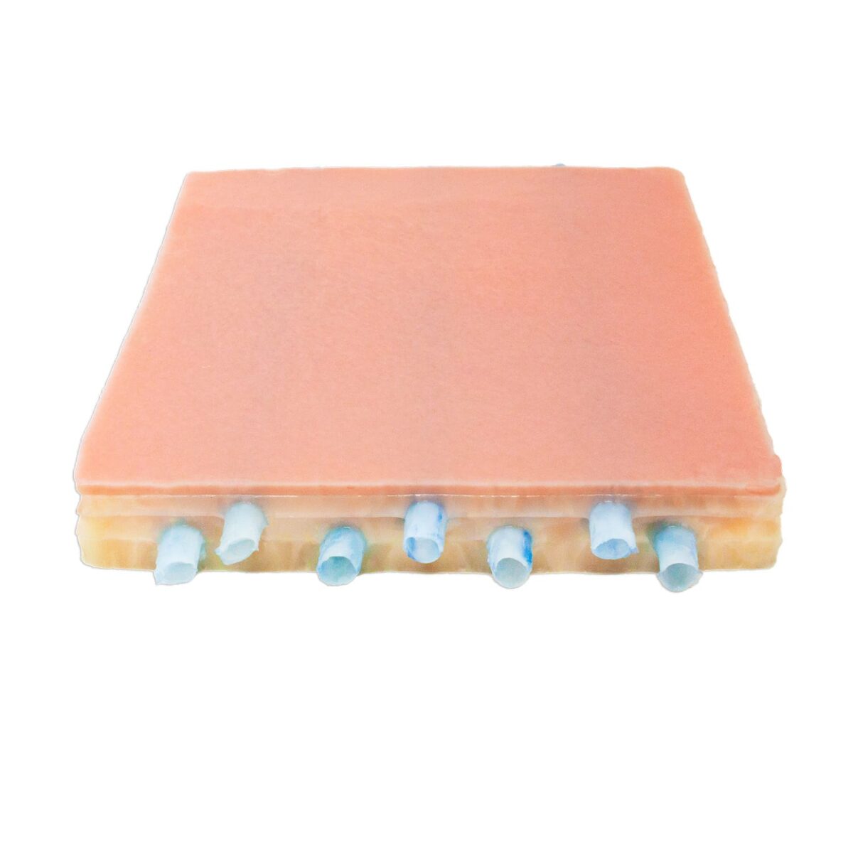 Lifelike Biotissue Embedded Vein Model
