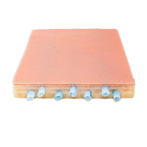 Lifelike Biotissue Embedded Vein Model