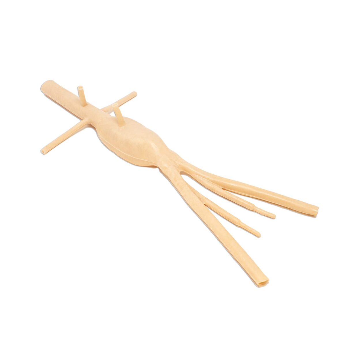 Lifelike Abdominal Aortic Aneurysm Model