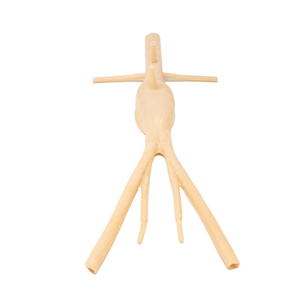 Lifelike Abdominal Aortic Aneurysm Model