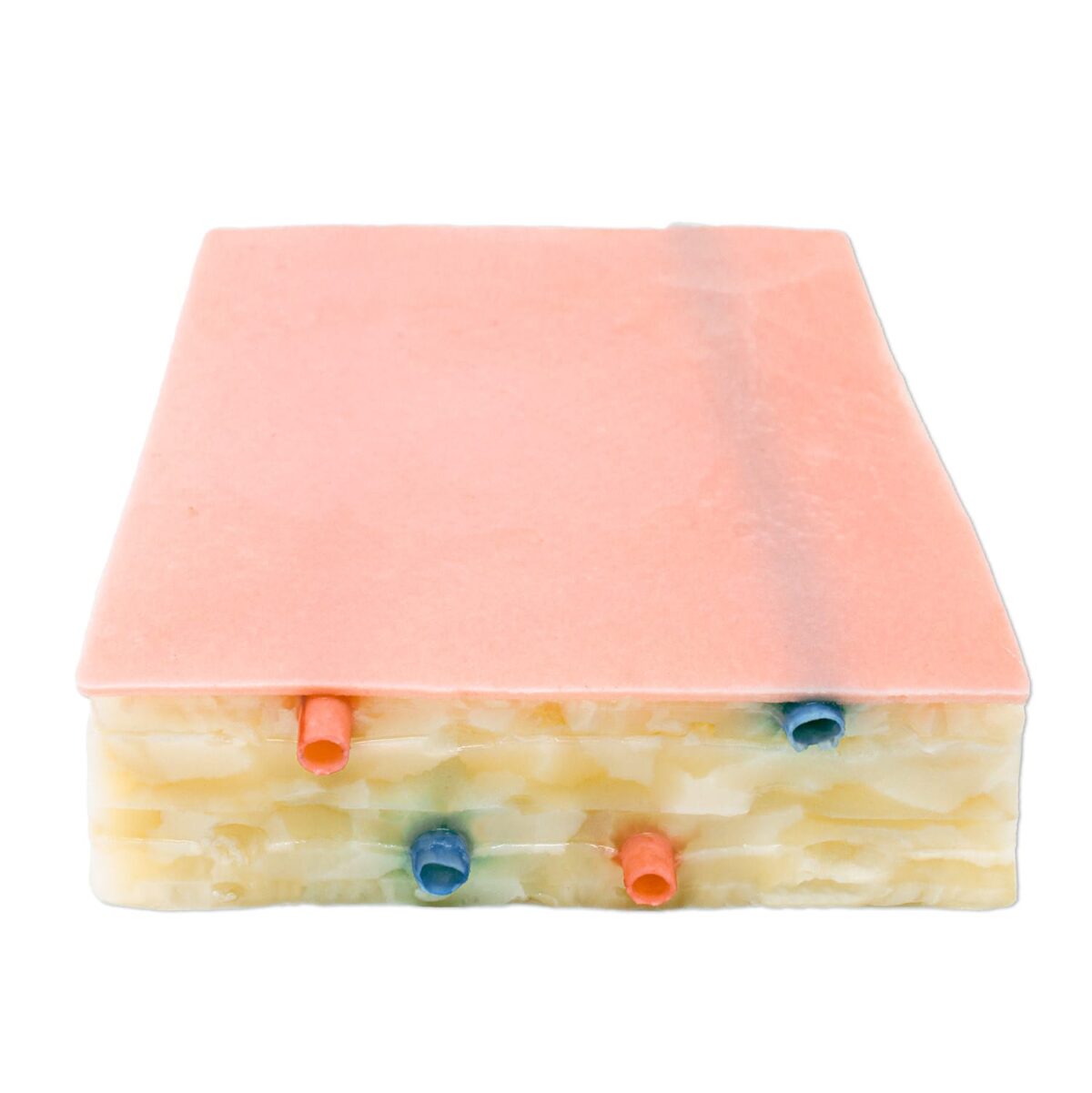 Lifelike Embedded Biopsy Pad Model
