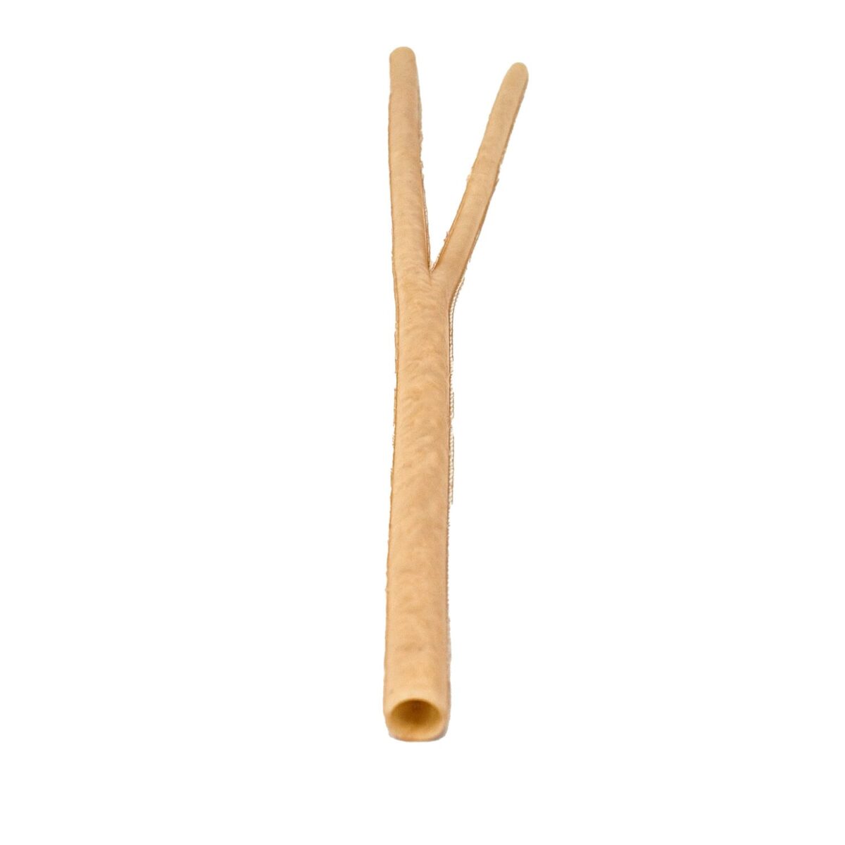 Bifurcated Femoral Artery