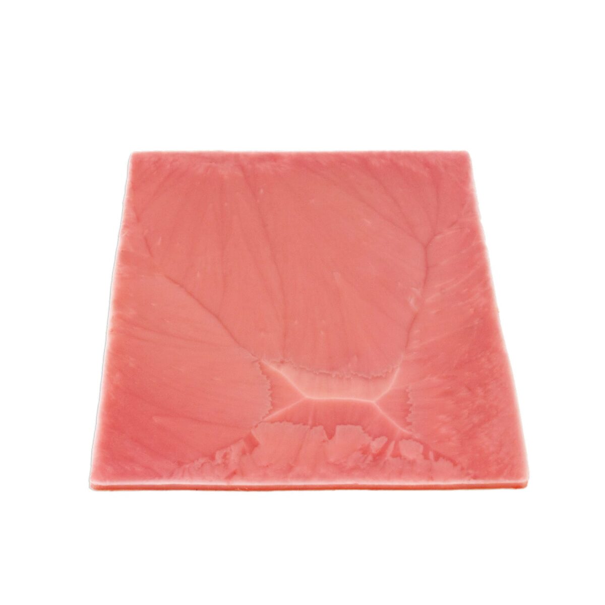 Lifelike Stomach Tissue Sheet
