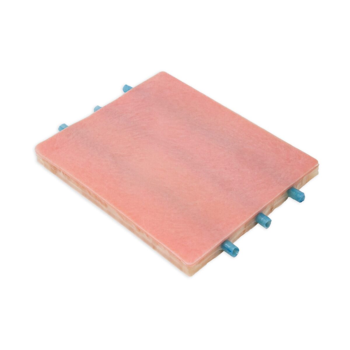 Lifelike Biotissue Venipuncture Pad
