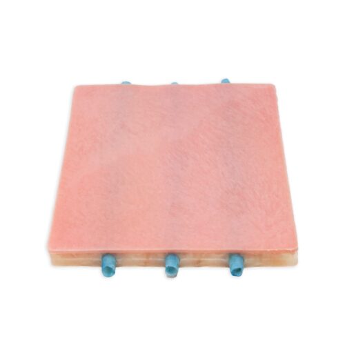Lifelike Biotissue Venipuncture Pad