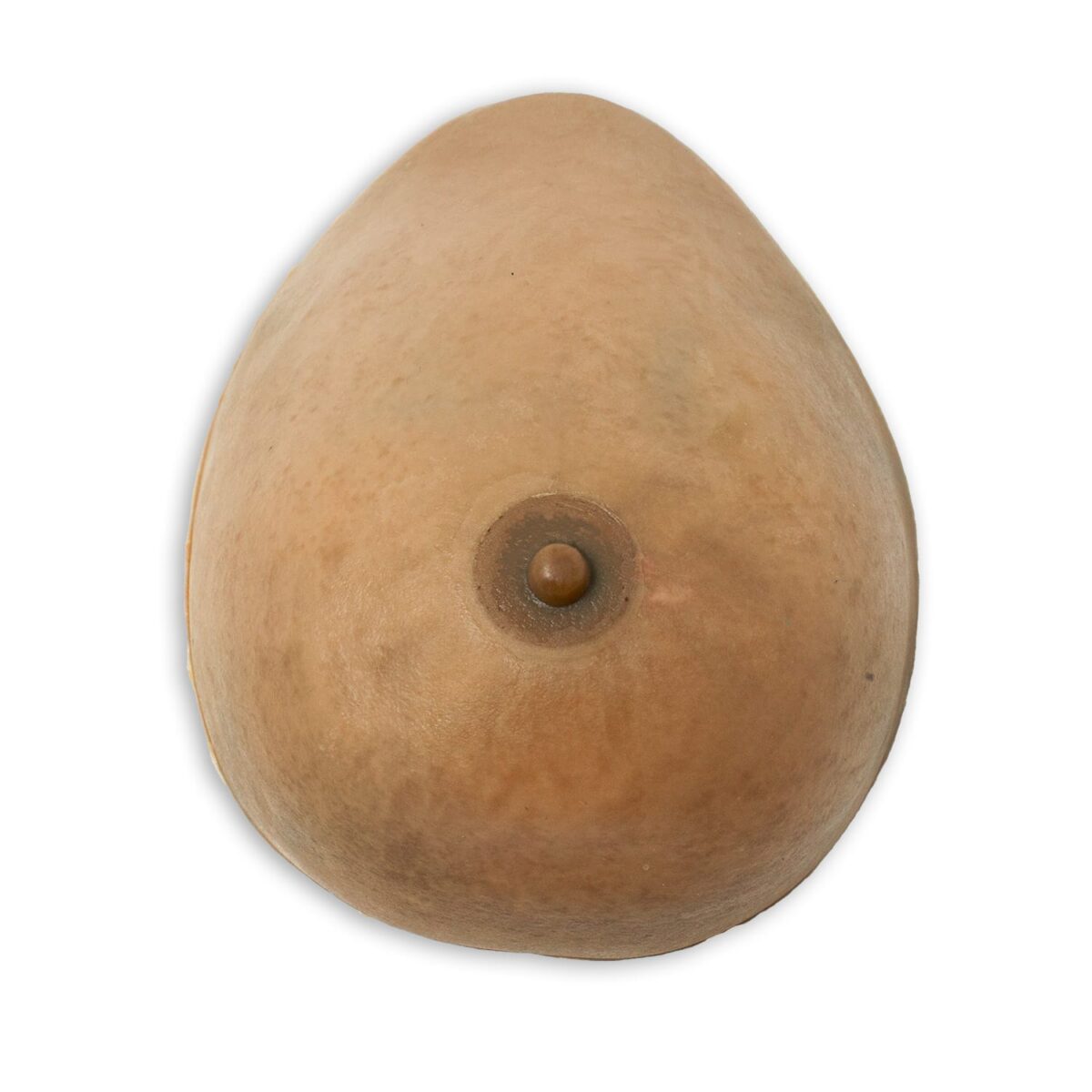 Breast Model for Surgical Training
