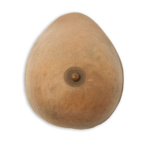 Breast Model for Surgical Training