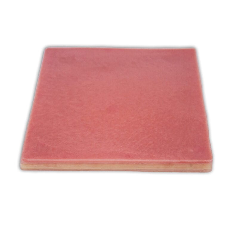 Abdominal Multilayer Skin Model LifeLike BioTissue