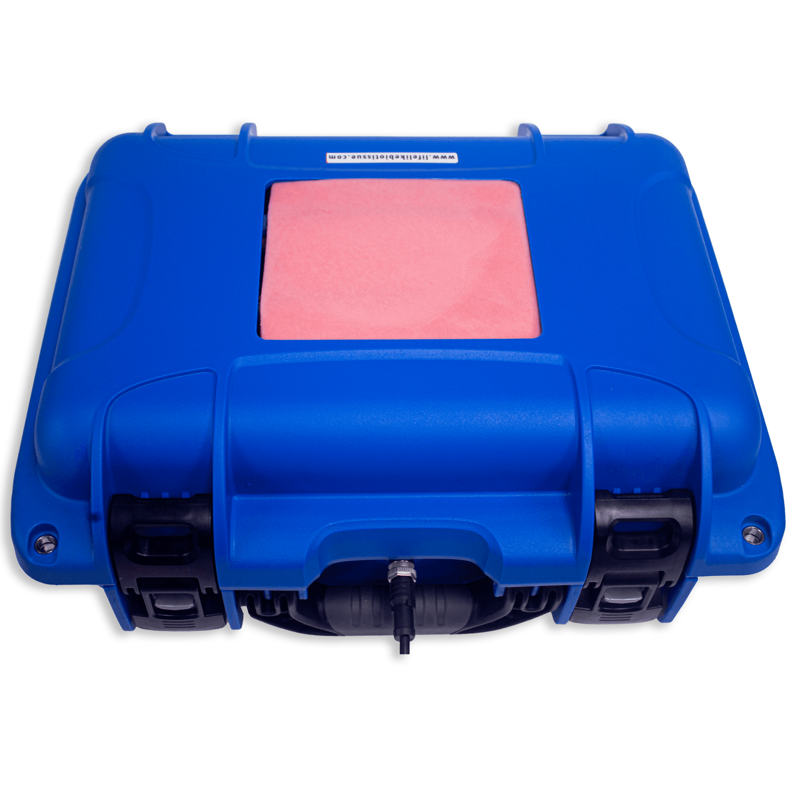 Wetlab System with Tissue model