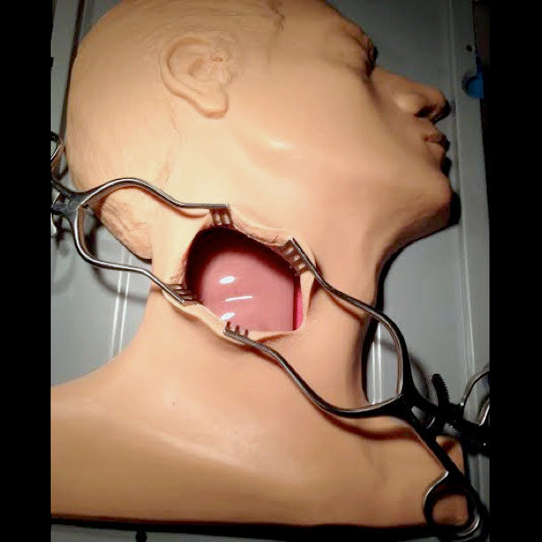 VI Carotid Head Medical Simulator Procedure Endarterectomy